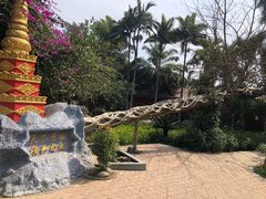 -瑞丽独树成林风景区