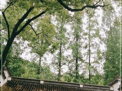 -宁波市保国寺古建筑博物馆