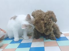 -台山颐和温泉城