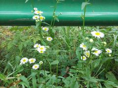 -南京金牛湖风景区