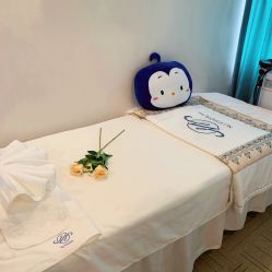 -哈颜科技轻美·