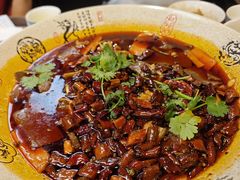 -陈麻婆豆腐(旗舰店)