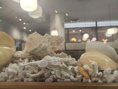 -菊上料理(蜀山银泰百货店)