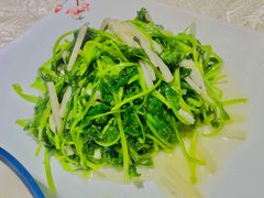鸡毛菜-上海年代(意式风情街店)