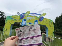 -东方绿舟景区