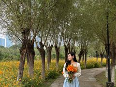 -艾溪湖湿地公园