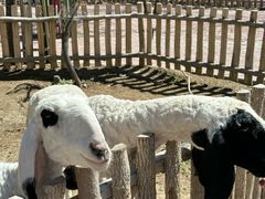 -水上乐园·欢乐世界