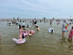 -碧海金沙