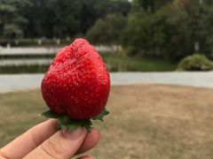 -东莞植物园
