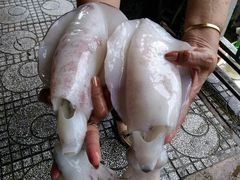 -美奈渔村