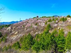 -白水寺森林公园