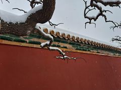 -姚记炒肝店(鼓楼店)