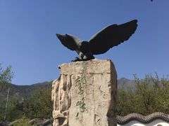 -北京鹫峰国家森林公园