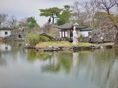 -无锡蠡湖国家湿地公园-蠡园