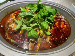 -黔渔翁豆花渎鱼(喷水池店)