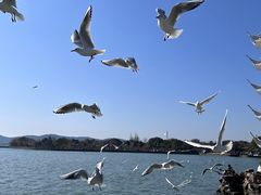 -蠡湖大桥公园