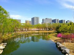 -大兴滨河森林公园