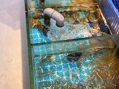 -杭州君悦酒店