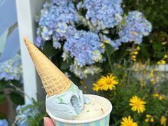 -苏小糖(鼓浪屿三丘田花园店)