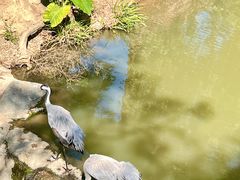 -泉州海丝野生动物世界