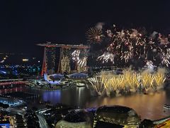 -新加坡瑞士史丹福酒店