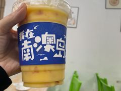 -南澳岛打卡果汁冰公司