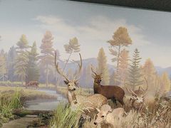 -陕西自然博物馆