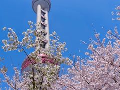 -东方明珠广播电视塔