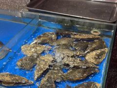 -永红源啤酒·烧烤·海鲜·大排档(青特城店)