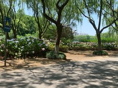 -东华大学(松江校区)