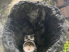 -青青世界
