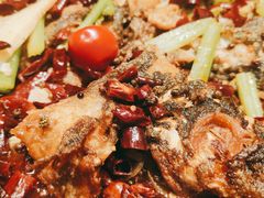 老板恋上鱼-老板恋上鱼(荣盛广场店)