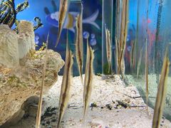 -太平洋海底世界