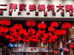-二胖家铁锅炖大鹅(双井店)