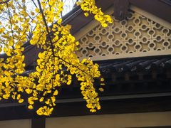 -郑和公园