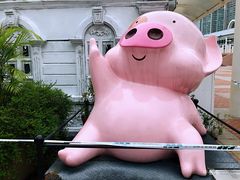 景点-九龙公园