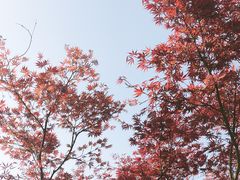 -东湖磨山景区
