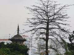 -乌山风景区