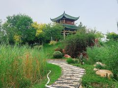 -武清南湖绿博园