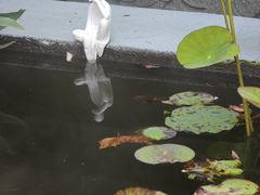 -钱王祠
