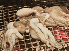 -300杯·和牛烧肉清酒专门店(廊里店)