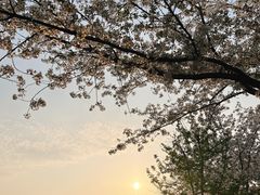 -苏州上方山国家森林公园