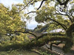 -福冈国际邮轮码头