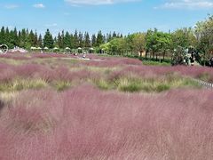 -嘉北郊野公园