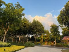 -茶人村·前滩江景雅宴(上海首店)