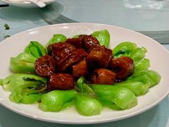 菜心圈子-老大同酒家·糟卤·本帮菜(中山公园店)