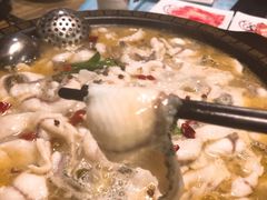 酸菜鱼-新记印象酸菜鱼馆(天阳亲子广场店)