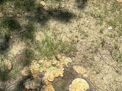 -白塘生态植物园