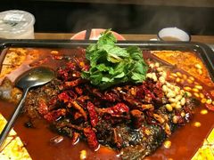 -探鱼·鲜青椒爽麻烤鱼(广州花都来又来店)