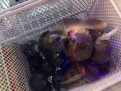 -山河屯铁锅炖鲜鹅·东北菜(开发区一店)